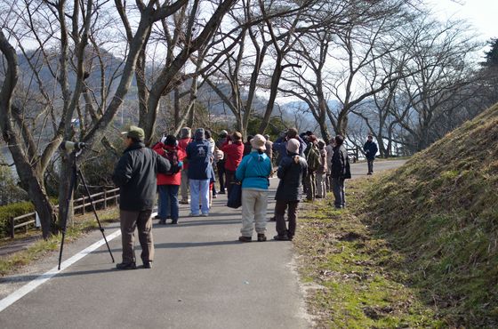 玉川湖畔での探鳥会の様子